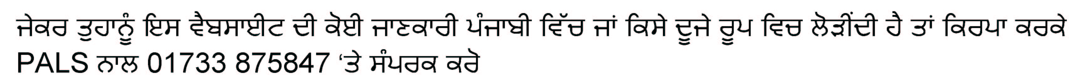 Punjabi translation